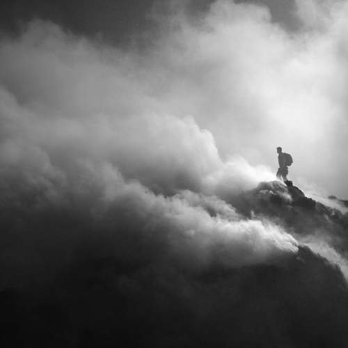 Photo #6133646