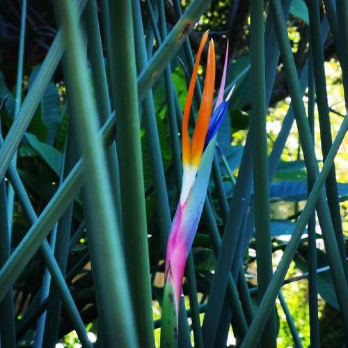 Photo #6133668