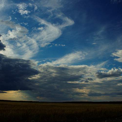Photo #6134055