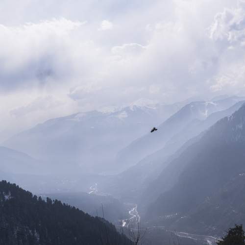 Photo #6134357