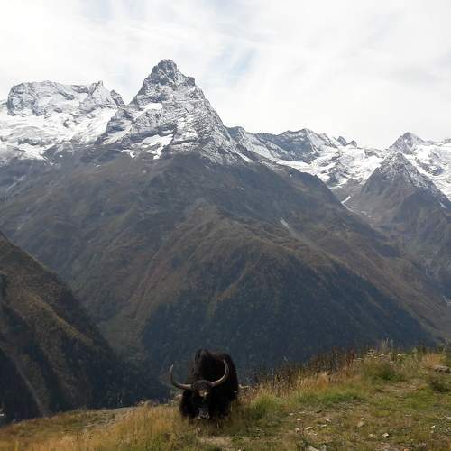 Photo #6134477
