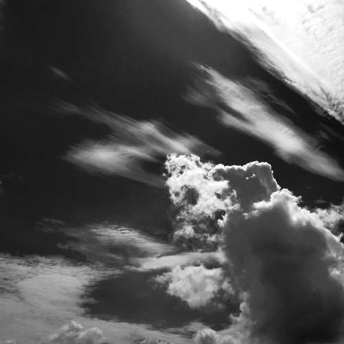 Photo #6135242