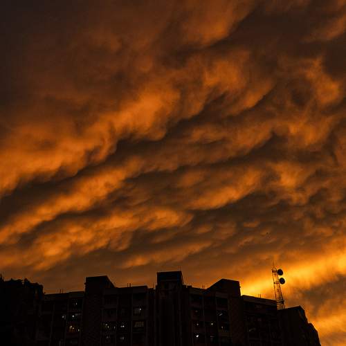 Photo #6135369
