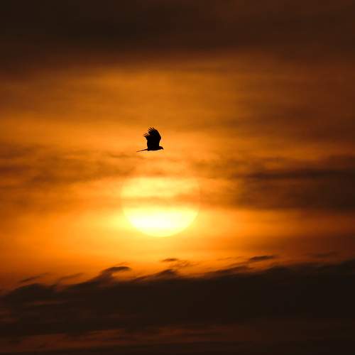 Photo #6135390