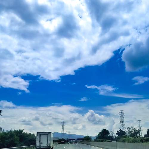 Photo #6135530