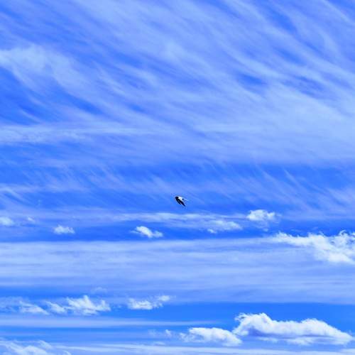 Photo #6135659