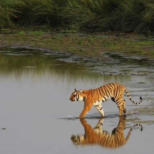 Photo #6135670