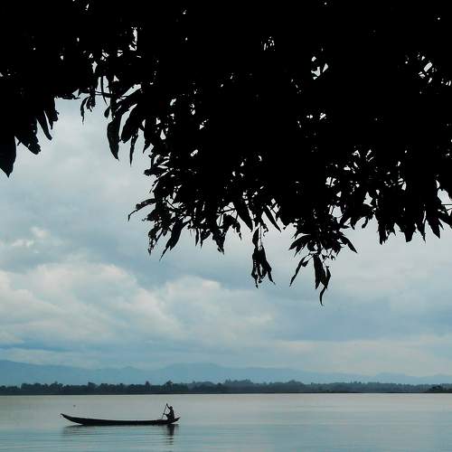 Photo #6135691