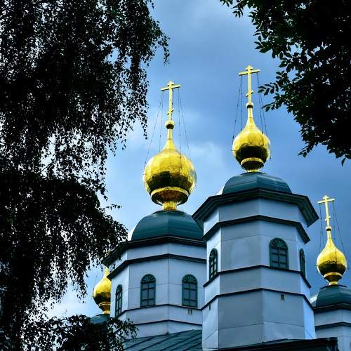 Photo #6135699
