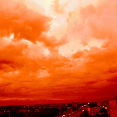 Photo #6135719