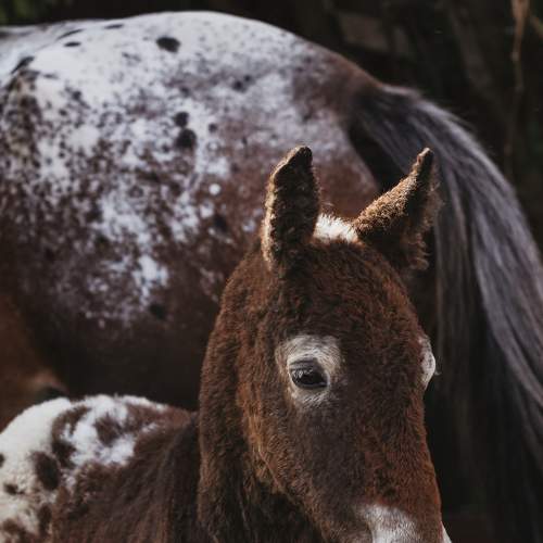 Photo #6135906