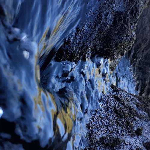 Photo #6136033