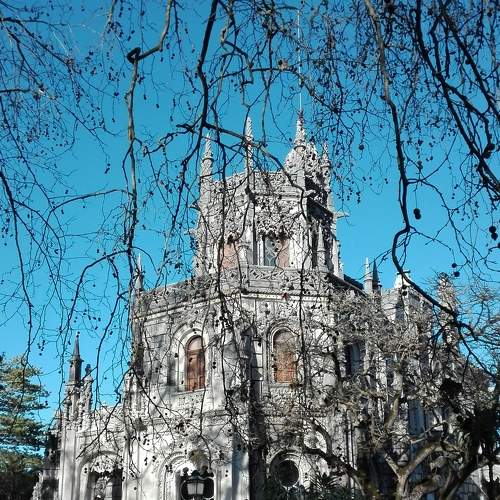 Photo #6136249