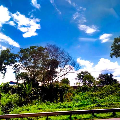 Photo #6136277