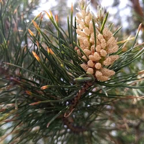 Photo #6136315