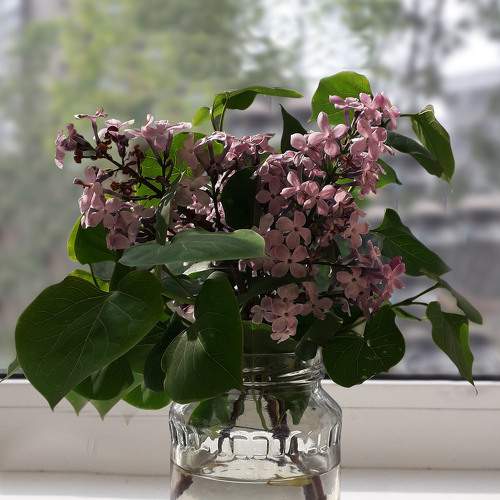 Photo #6136326