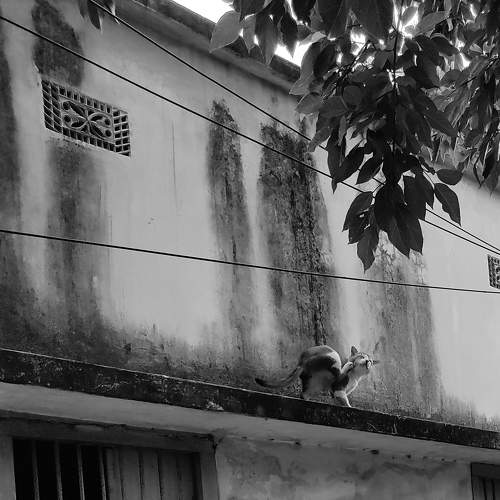 Photo #6136457