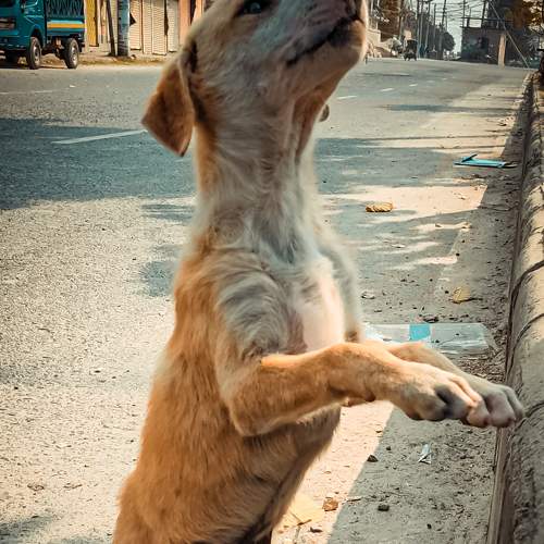 Photo #6136458