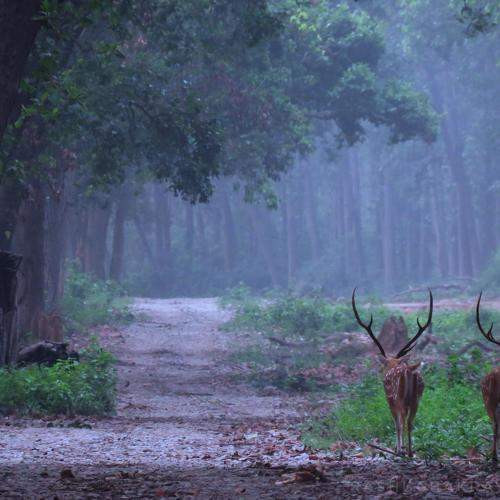 Photo #6136600