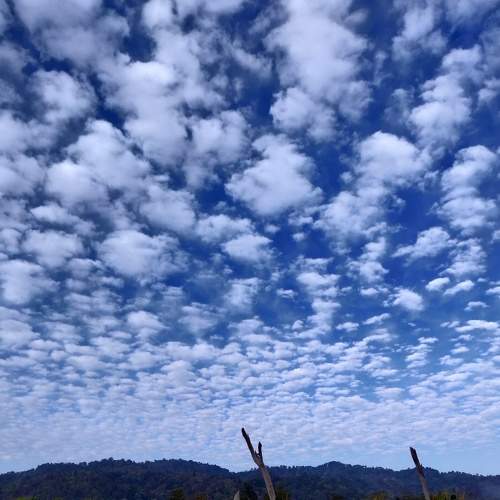 Photo #6136605