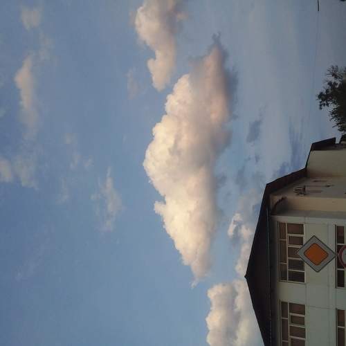 Photo #6136730