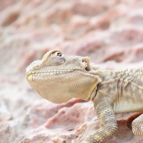 Photo #6136754