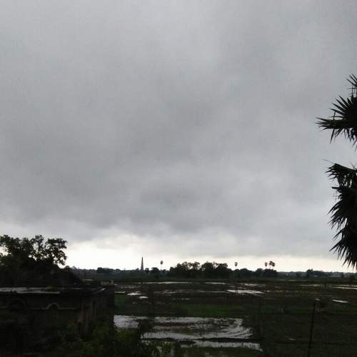 Photo #6137265