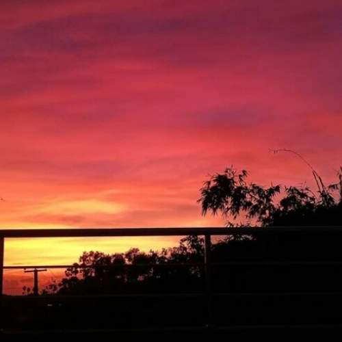 Photo #6137276