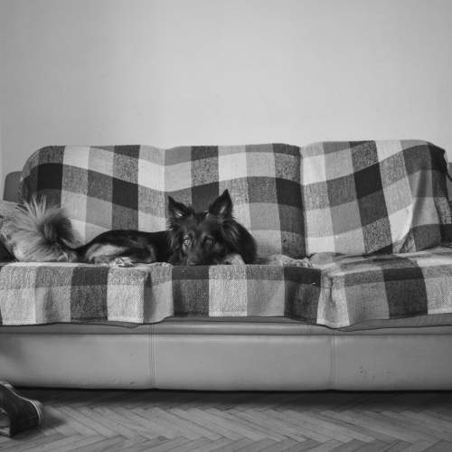 Photo #6137383