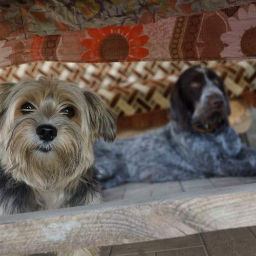 Photo #6137576