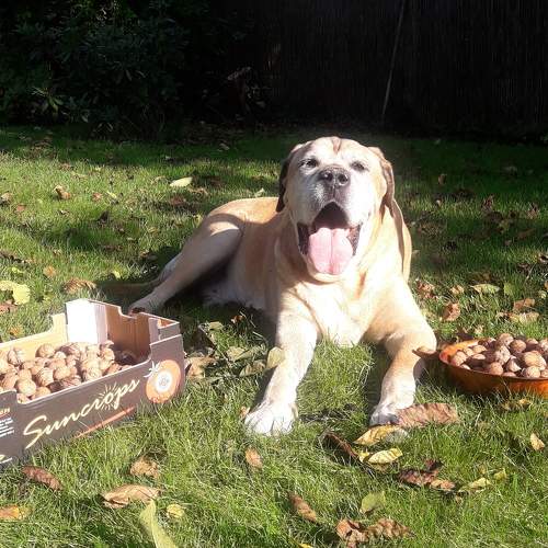Photo #6137625