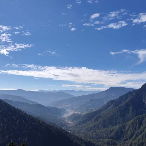 Photo #6137719