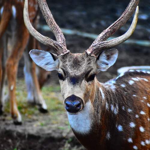 Photo #6137723