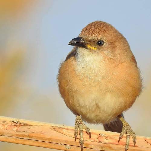 Photo #6138493