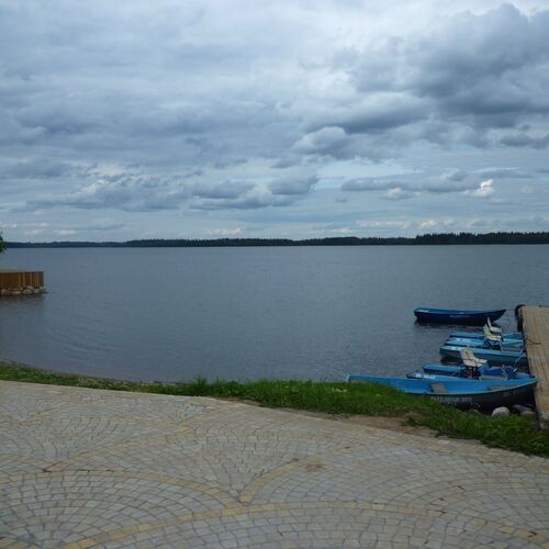 Photo #6138635