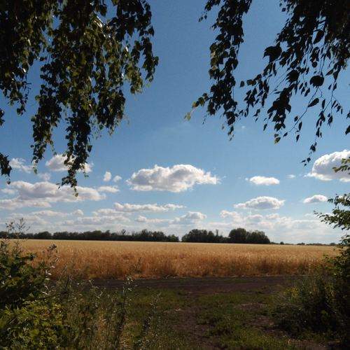 Photo #6138641
