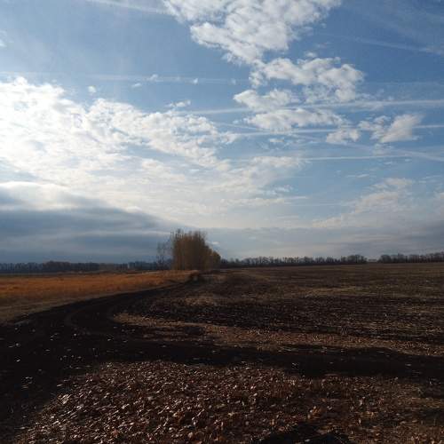 Photo #6138646