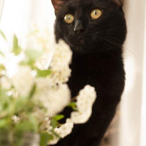 Photo #6138718
