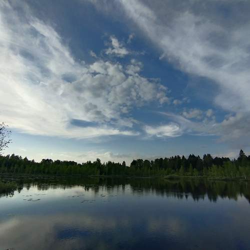 Photo #6138778