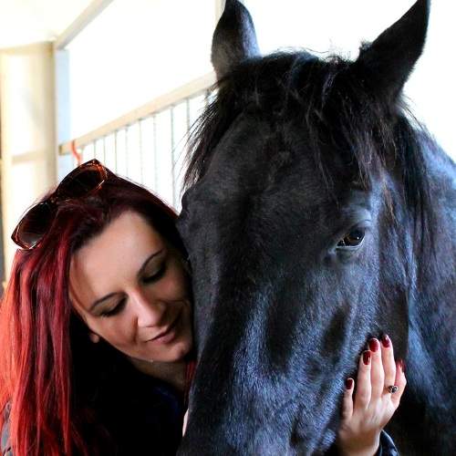 Photo #6138827