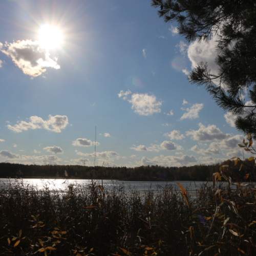 Photo #6138890