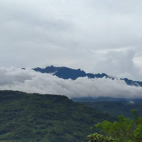 Photo #6138930