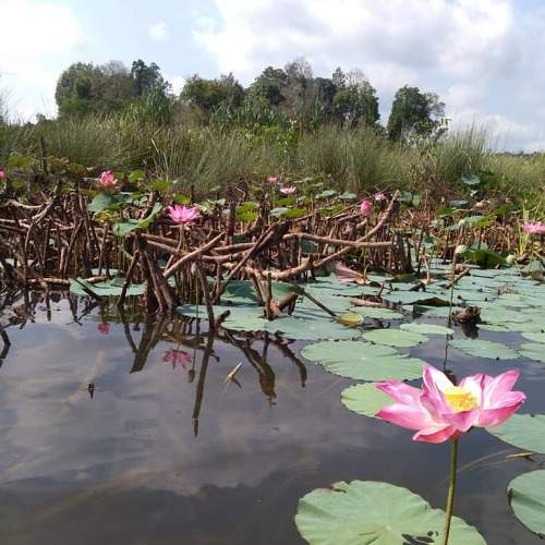 Photo #6138999