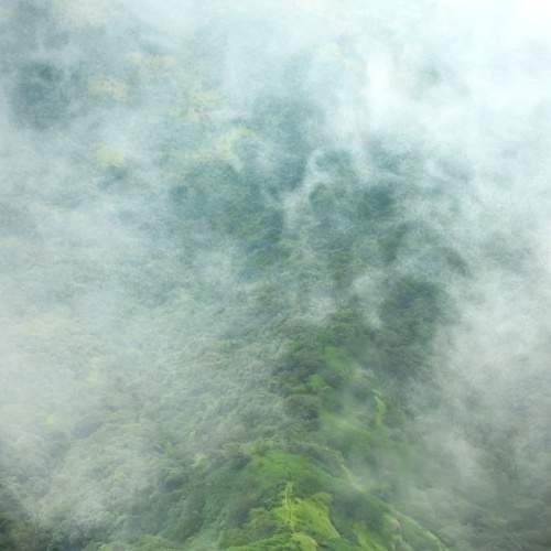 Photo #6139065