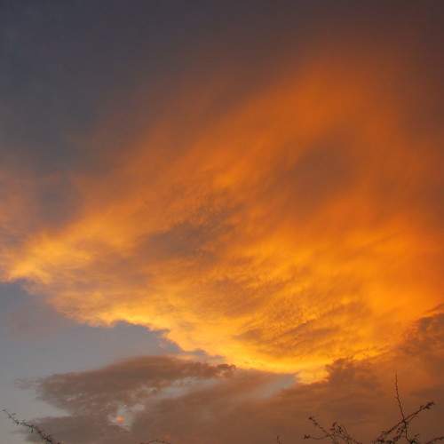 Photo #6139149