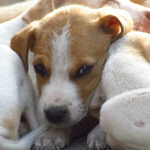 Photo #6139169