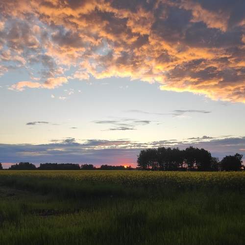 Photo #6139340
