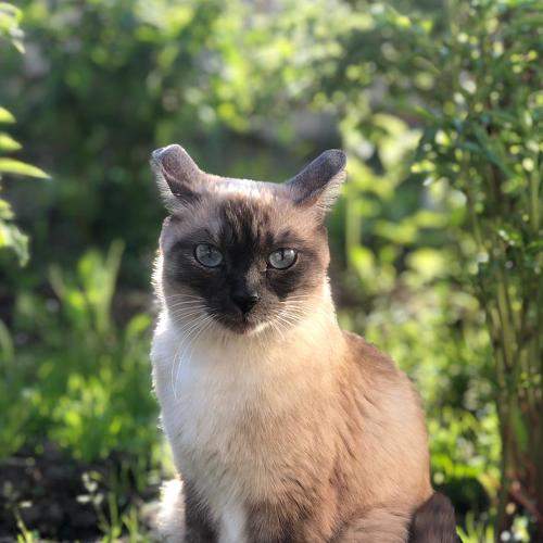Photo #6139352