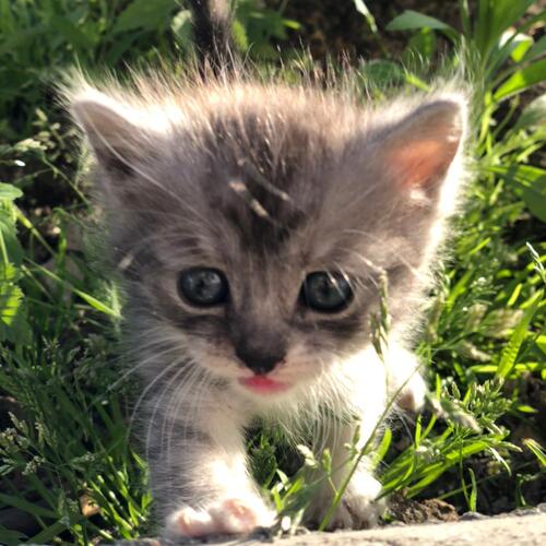 Photo #6139363