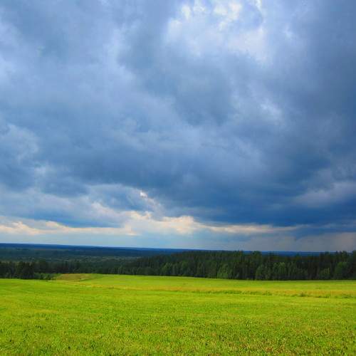 Photo #6139809